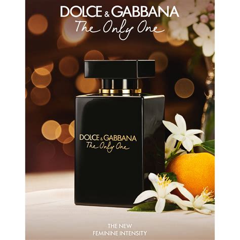 dolce gabbana only